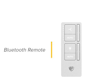 Bluetooth remote